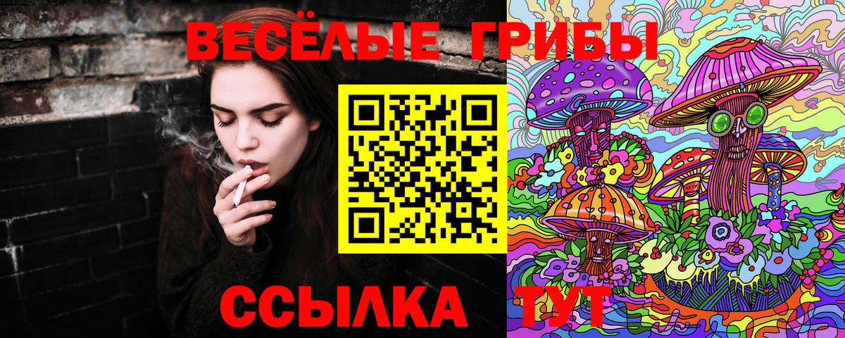 Галлюциногенные грибы мухоморы  Вход с VPN  Тихорецк 
